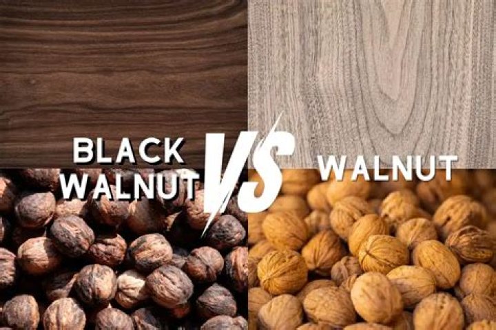 Is the fat in walnuts bad for you