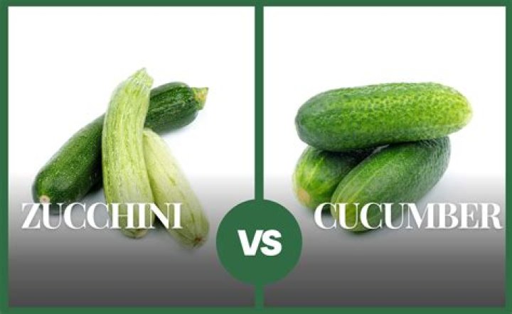 Is there a difference between a cucumber and a pickle