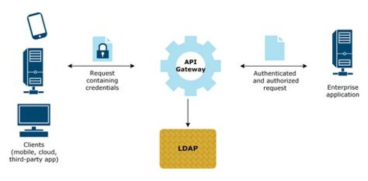 Lightweight directory access protocol (LDAP)