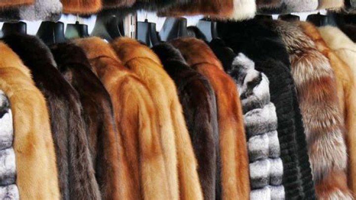 Question: Can You Repair Fur Coat