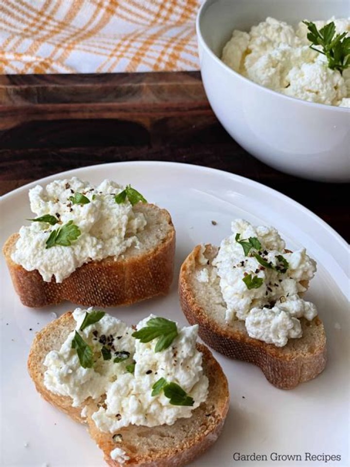 Ricotta Cheese Pregnant - How To Discuss
