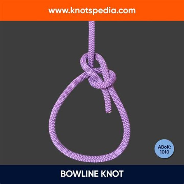 Rope swing knot - How To Discuss