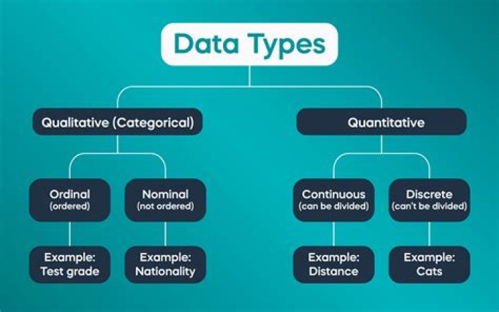 Types of data - How To Discuss