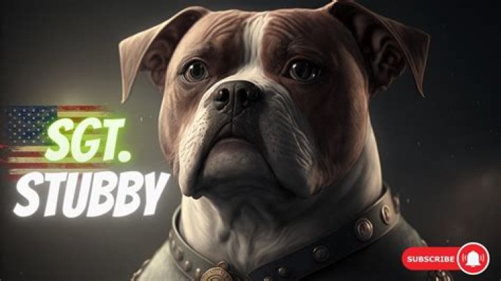 Was stubby a real dog
