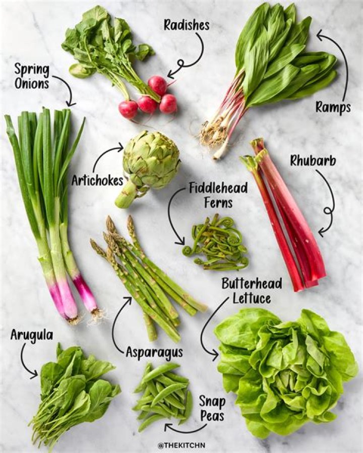 What are early spring vegetables