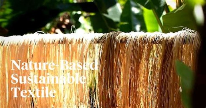 What are some of the plant based fabrics?