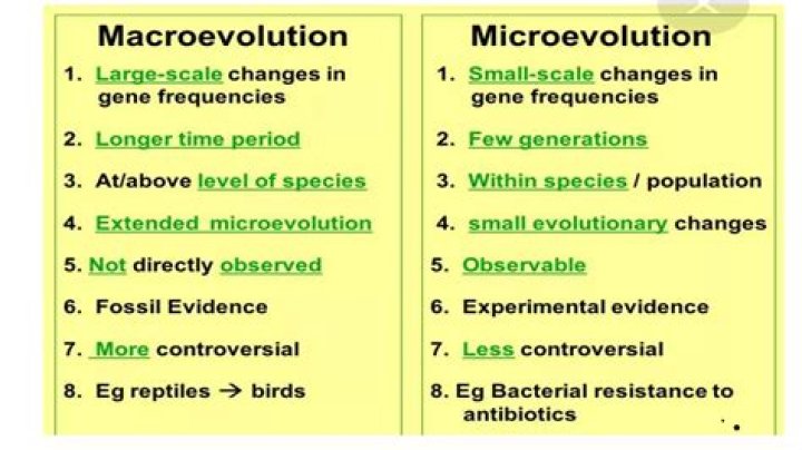 What are the 3 mechanisms of microevolution