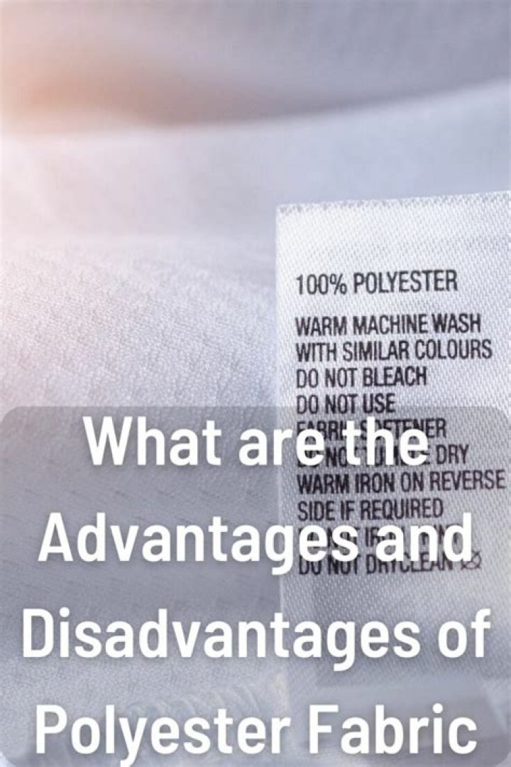 What are the advantages and disadvantages of polyester?
