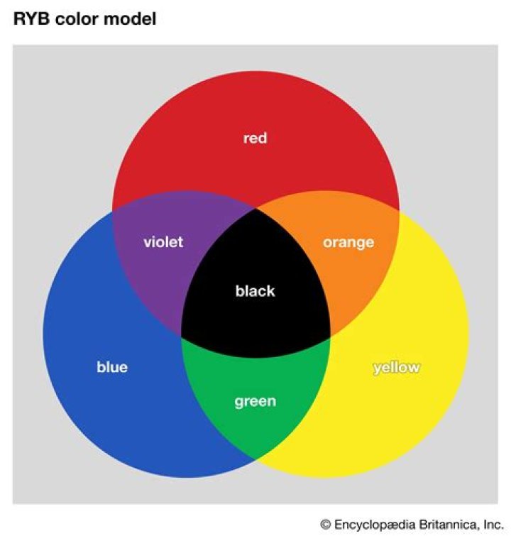 What are the primary colors of an outfit?