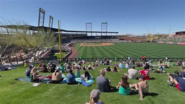What baseball teams have spring training in Phoenix