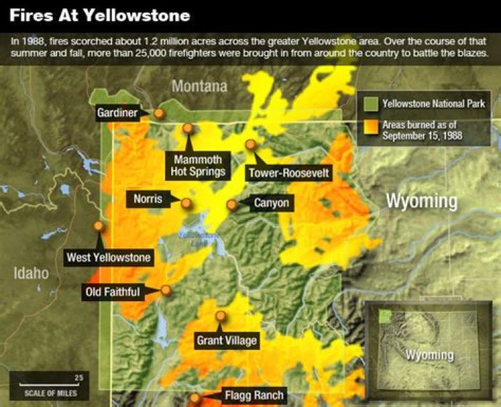 What caused the Yellowstone fire in 1988?