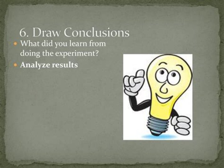 What conclusions did Mendel draw from his experiments