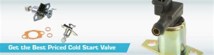 What do you call the cold start valve?