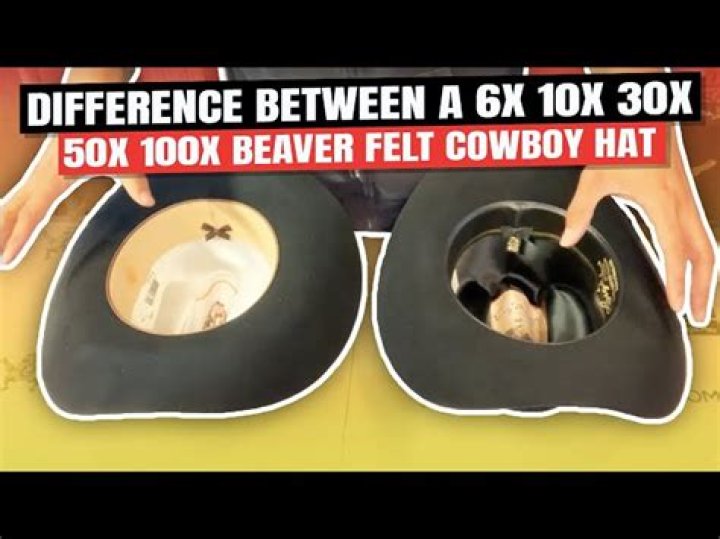 What does 10X beaver hat mean?
