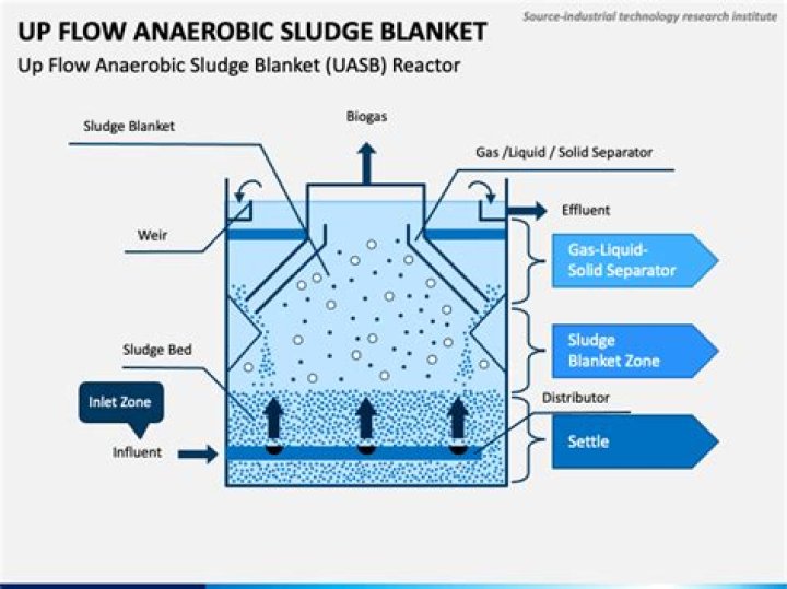 What forms the sludge blanket