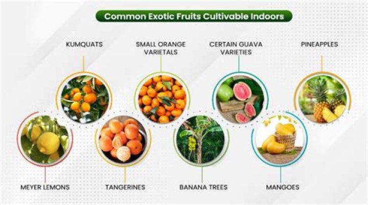 What fruits can be grown in Singapore