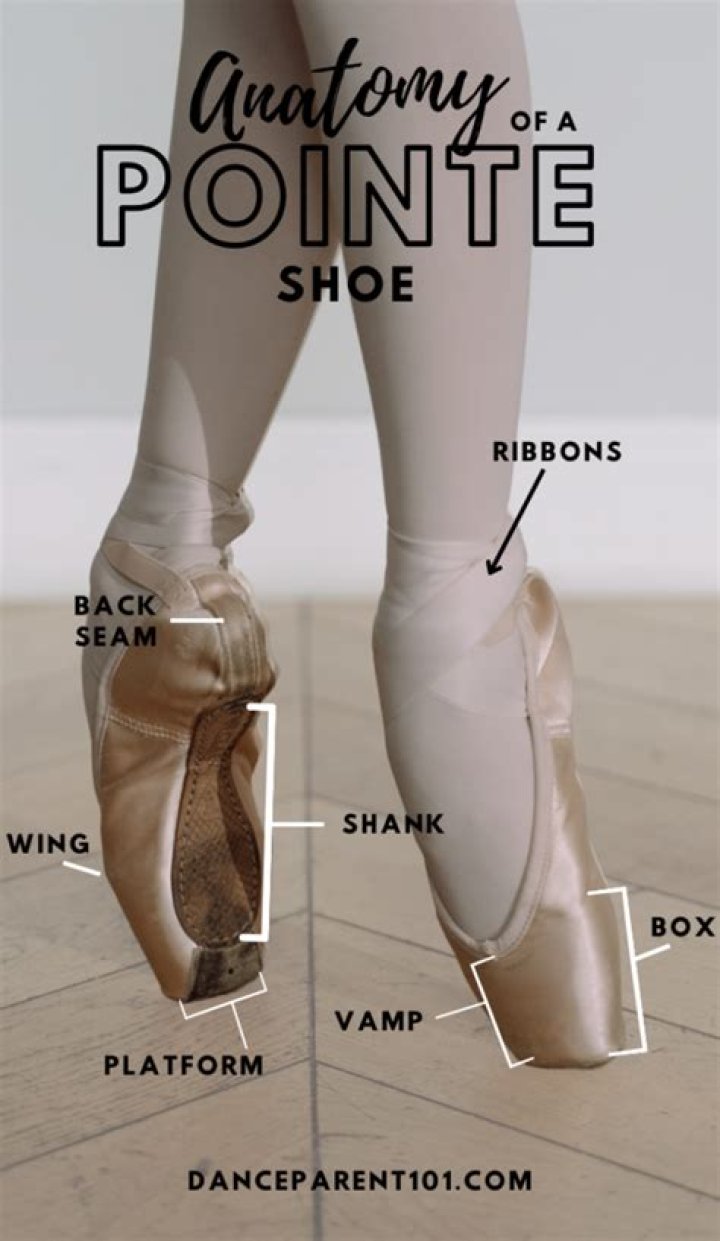 What grade do you get pointe shoes?
