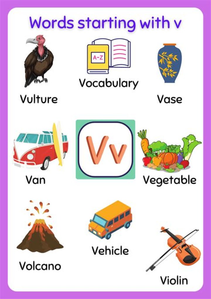 What is a brand that starts with V?