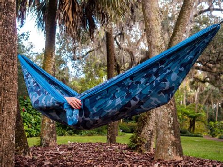What is a hammock in Florida