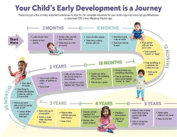 What is developmental Disfluency