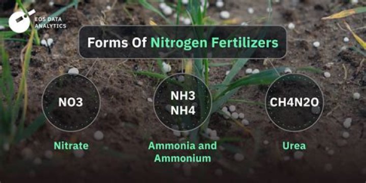 What is high in nitrogen for the garden