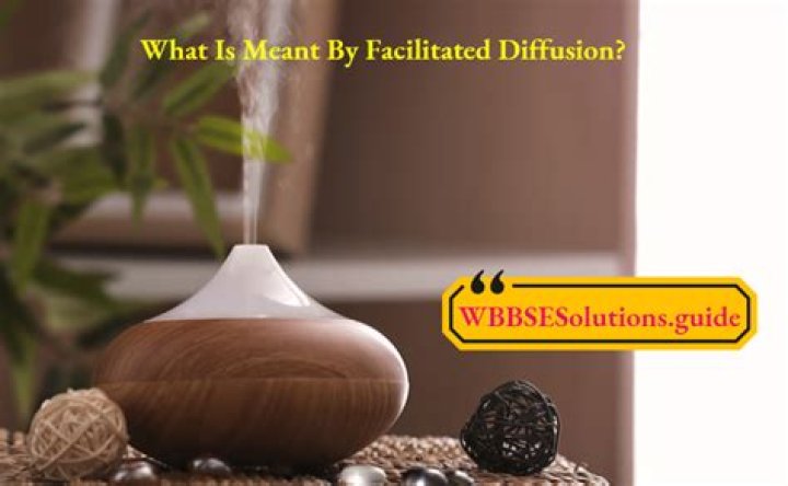 What is meant by facilitated diffusion