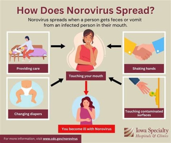 What is norovirus ? how to discuss