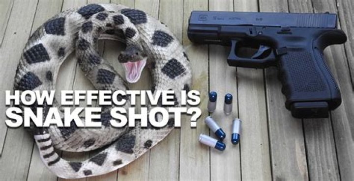 What Is Snake Shot - How To Discuss