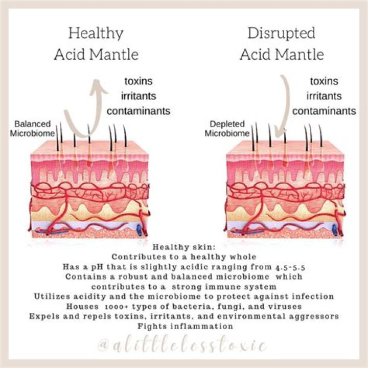What is the acid mantle made up of