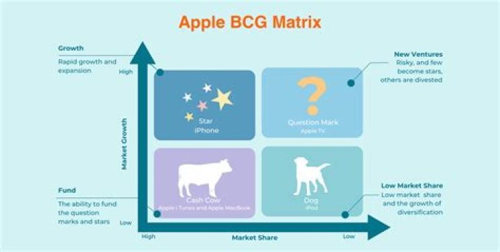 What is the application of BCG matrix for businesses?