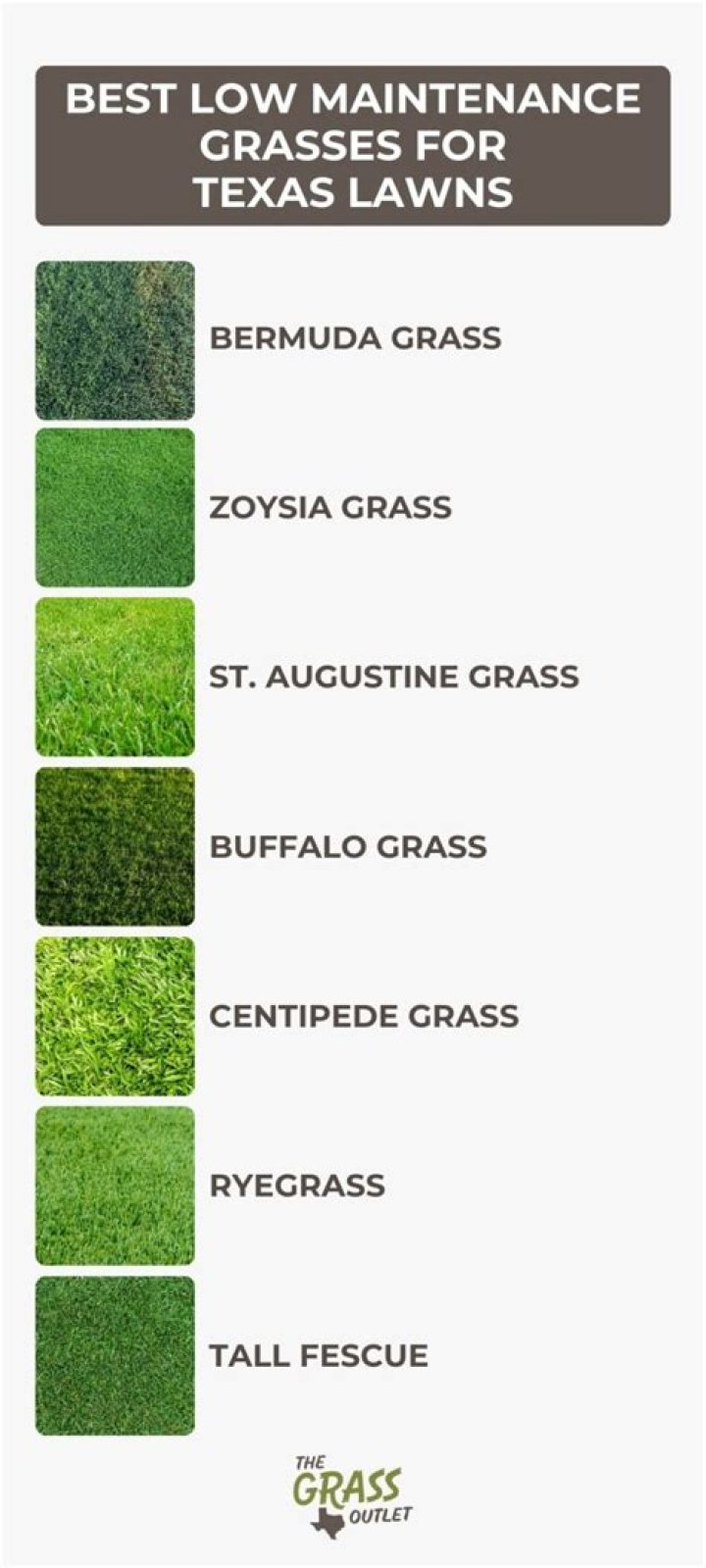 What is the best grass for Austin Texas
