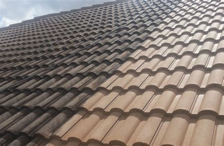 What is the black stuff on my roof