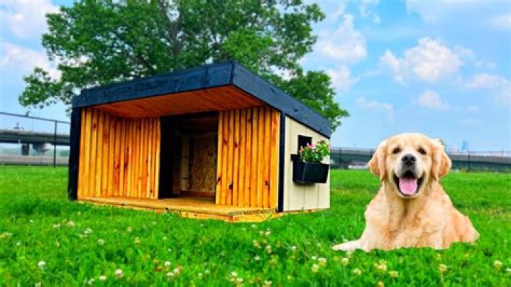 What is the doghouse on an RV?