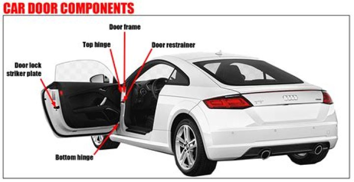 What is the line on the side of a car called?