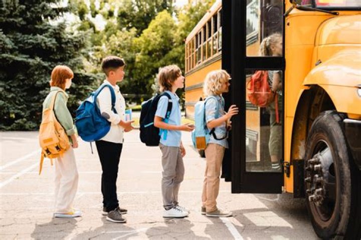 What is the main purpose of going to school?