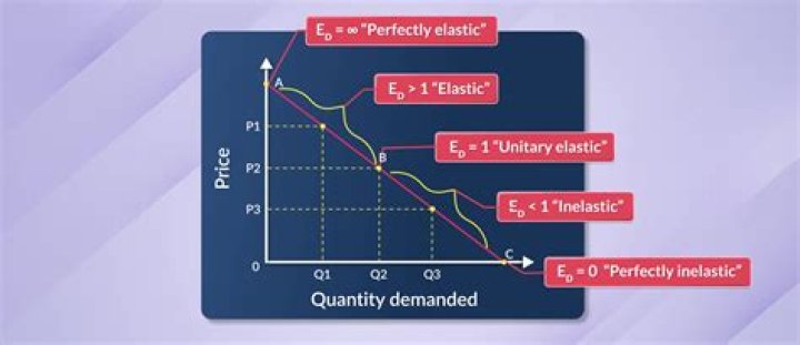 What is the nature of the elasticity of the demand curve faced by perfectly competitive firm