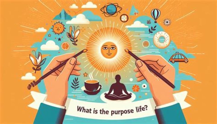 What is the purpose of Neuticles