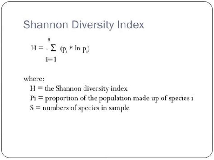 What is the Shannon diversity index