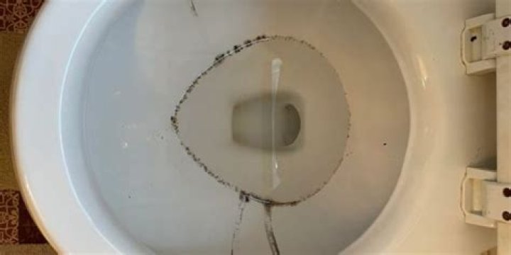 What is the thing on top of a toilet?