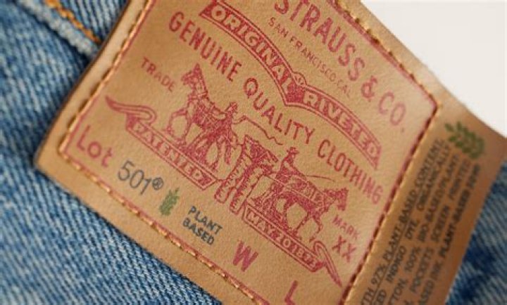 What kind of clothing company is Levi Strauss?