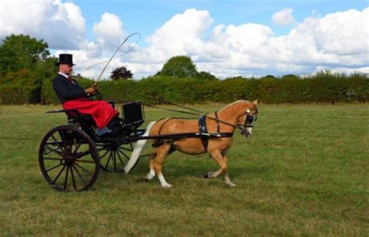 What kind of fifth wheel does carriage offer?