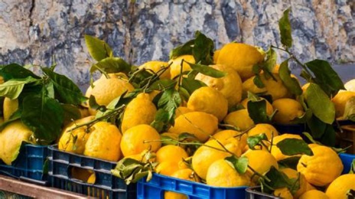 What kind of lemons grow in Italy