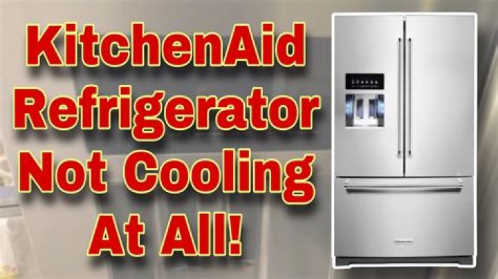 What kind of refrigerator does the Winnebago view use?