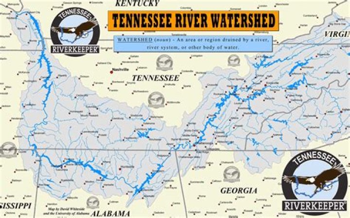 What kind of RV does Forest River make?