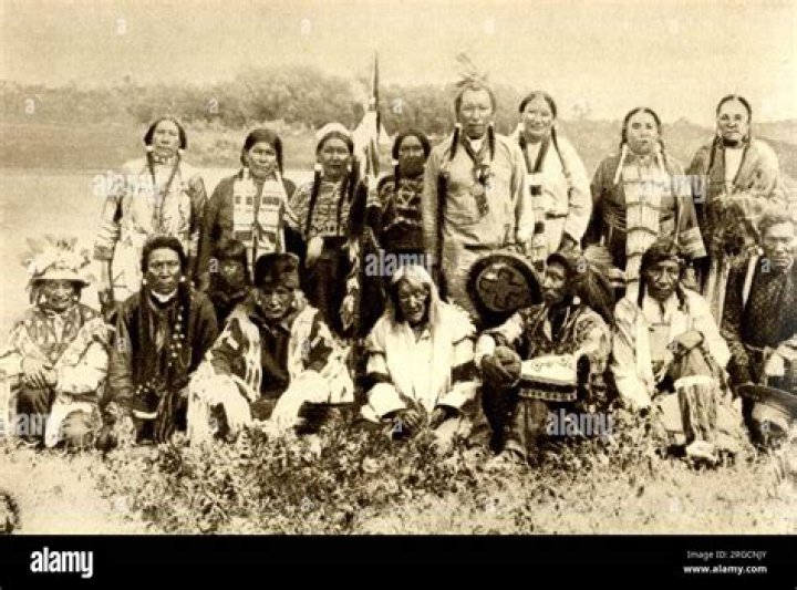What Native American tribe could actually grow cotton?