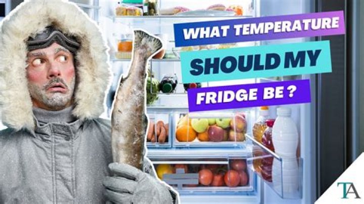 What setting should a fridge be on in winter?