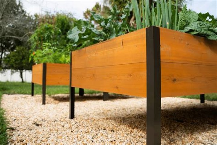 What size should a raised garden bed be