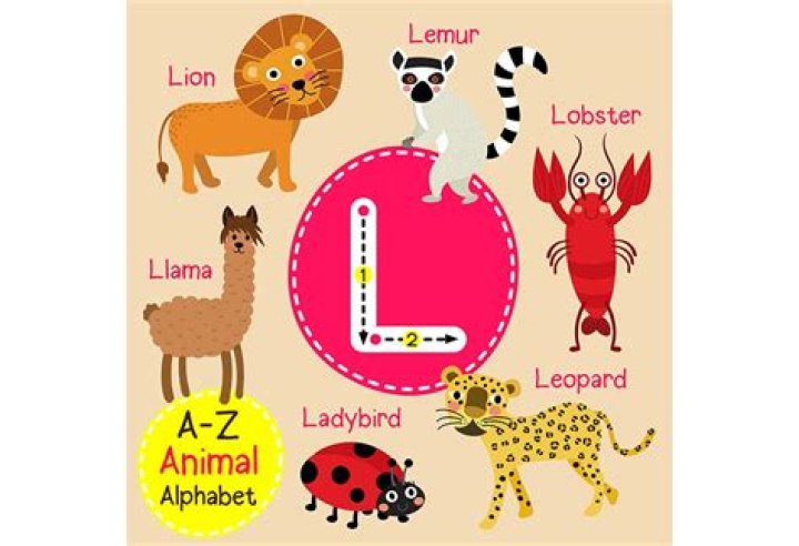 What to wear in a play with the letter L?