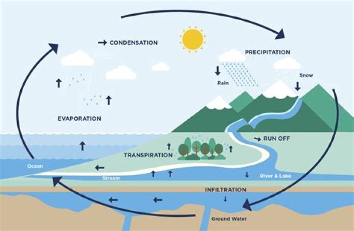 What Type Of Energy Drives The Water Cycle