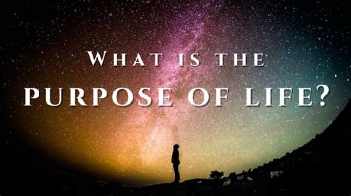 What was the purpose of the first backpack?